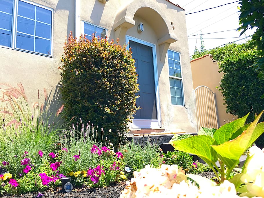 Porch & Garden