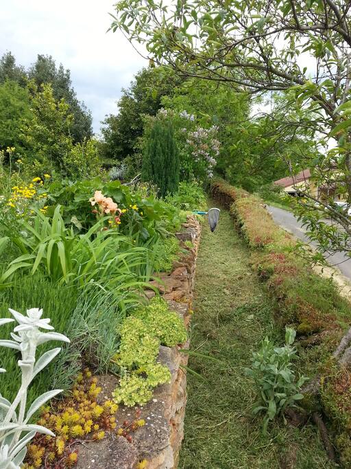 Vue jardin, entre plantes grasses, lilas, iris, et autres...