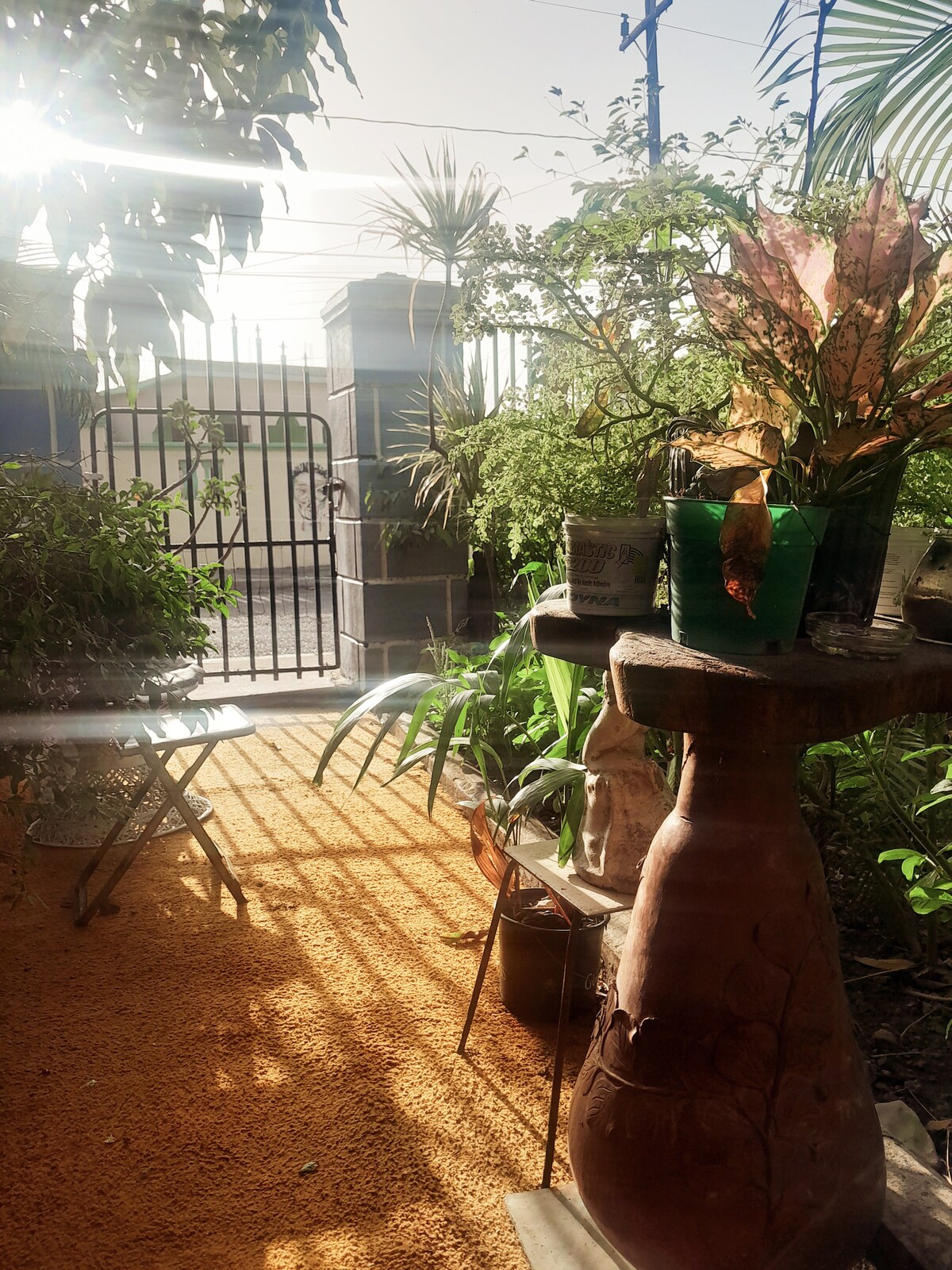 A serene garden area is framed by lush green plants and vibrant flower pots. A rustic wooden table stands beside a charming chair, while sunlight casts soft shadows on the orange pathway leading to an enclosed gate.