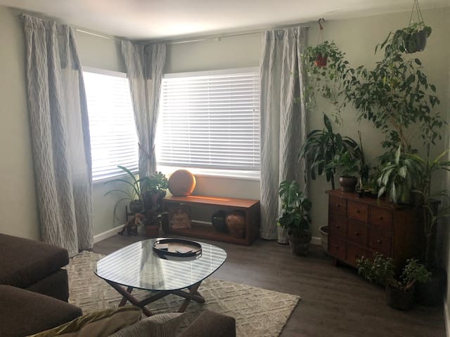 Great for Commuters_Private Room in New Apt