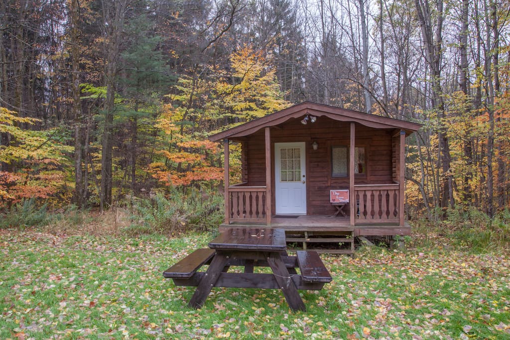 Camping Log Cabin in Beautiful Forest Setting - Cabins for ...