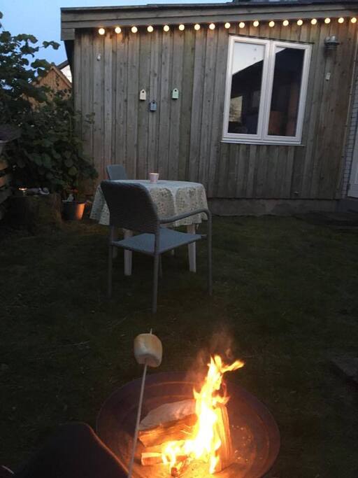 Garden at night