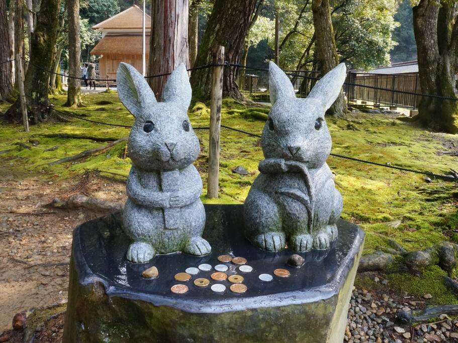 岛根县的一人旅 日本旅游攻略 尽在airbnb爱彼迎 岛根县的一人旅 日本旅游攻略 尽在airbnb爱彼迎