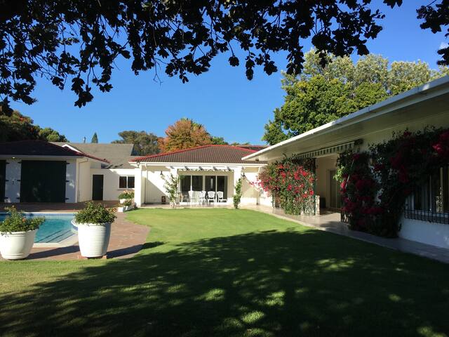 German Luxury in Constantia Wine Country gallery image 5