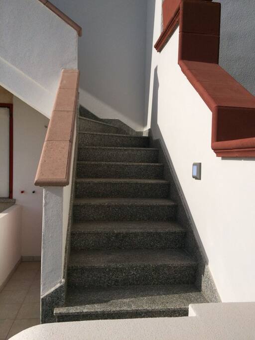 Ingresso