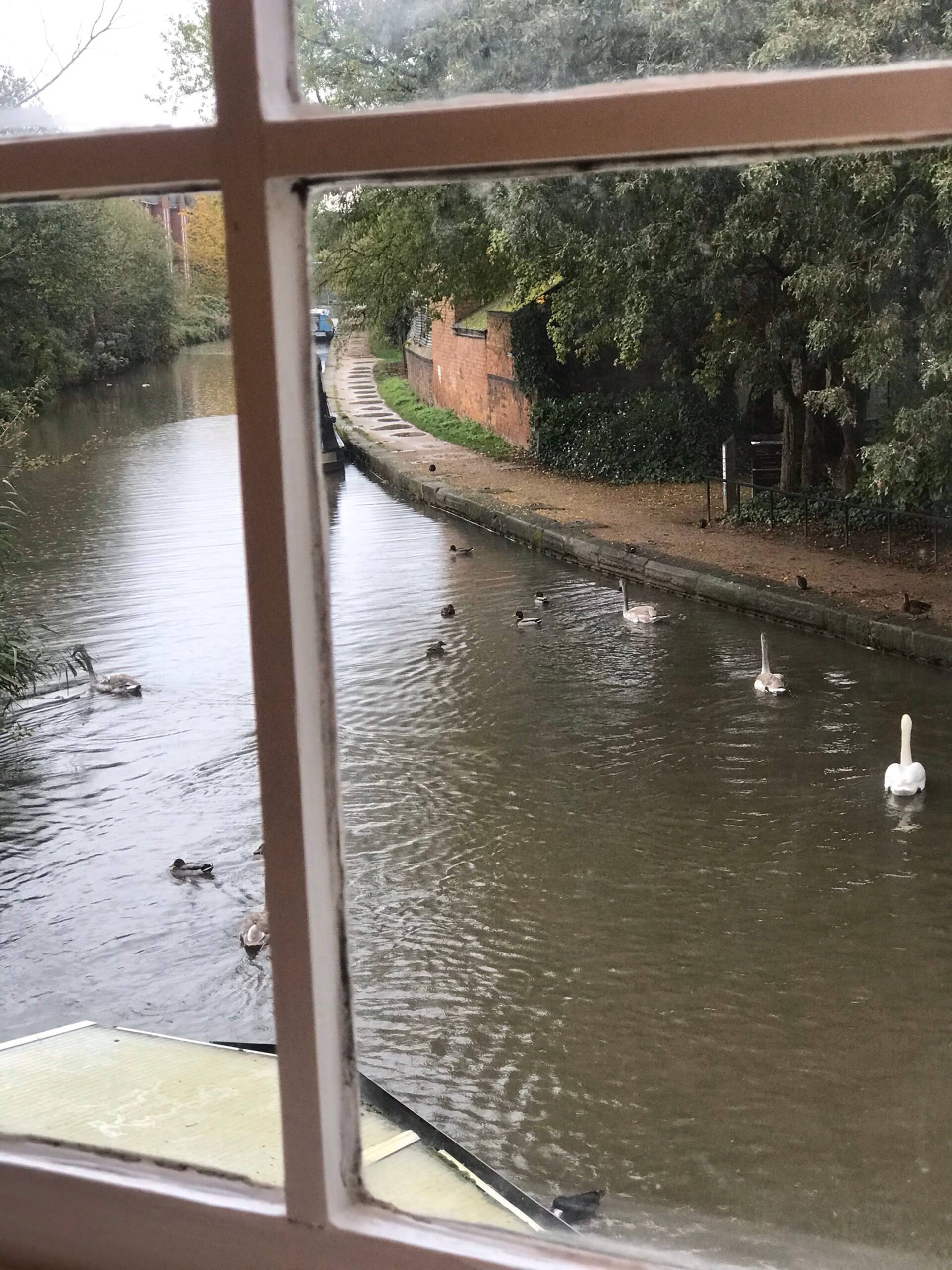 Velvet Nest 5 min walk from train station — foto 4