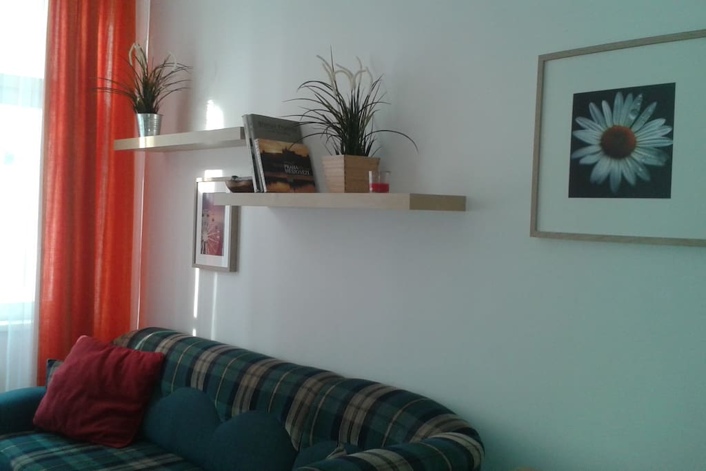 Living room with sofabed