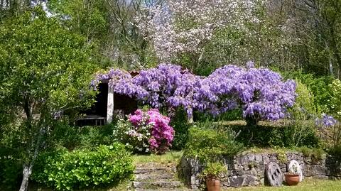 O Lughar Darriba Fogar Natural