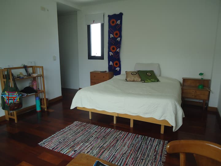 Habitación con baño privado en Chacarita