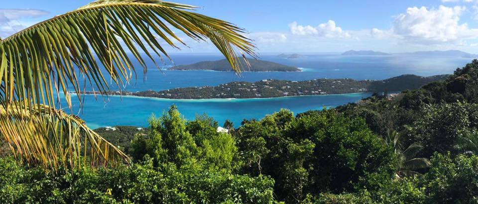 A vibrant view captures the lush greenery and palm fronds framing the scene. The azure waters of Magens Bay extend into the distance, interspersed with gentle hills and scattered white buildings along the coastline. Wispy clouds dot the bright blue sky, enhancing the tranquil atmosphere.