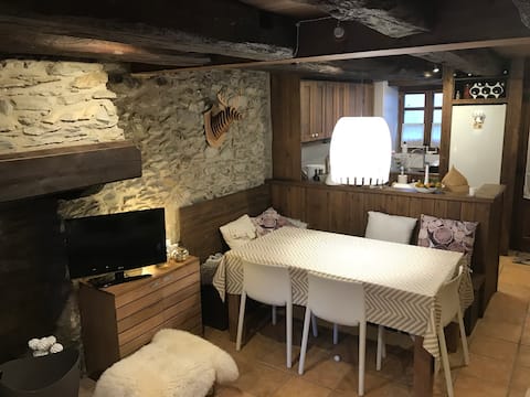 Top performing Airbnb: Olivia's house in Vielha E Mijaran