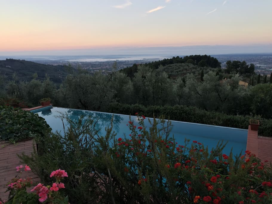 swimming pool with landscape