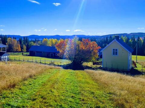 Yellow house