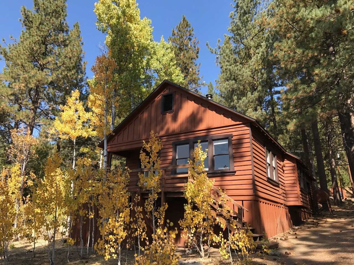 A rustic cabin with a deep red exterior is framed by tall pine trees and vibrant yellow aspen leaves. The structure features multiple windows, allowing plenty of natural light, while a set of steps leads up to the entrance. The surrounding landscape adds a touch of warmth.