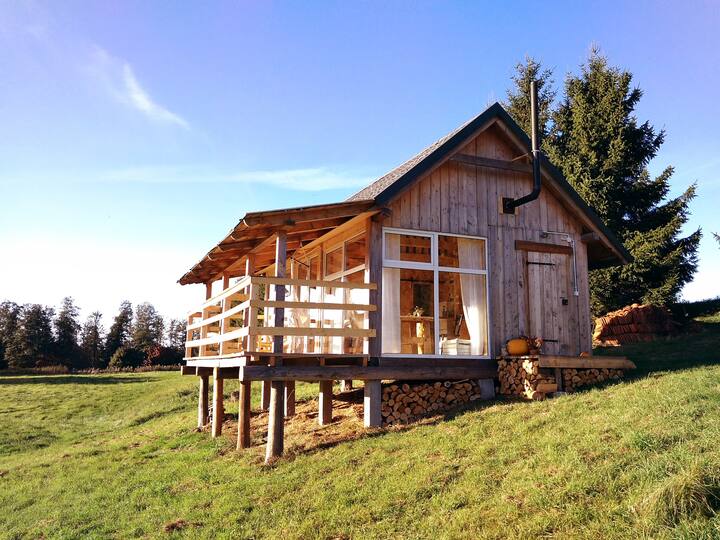 Poland Holiday Rentals & Homes Airbnb