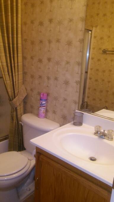 Personal bathroom. Very clean, shower and bathtub. Towels and toiletries included.