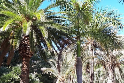 Top Airbnb: Loft-style studio Malaga train station and beach. in Parque Ayala