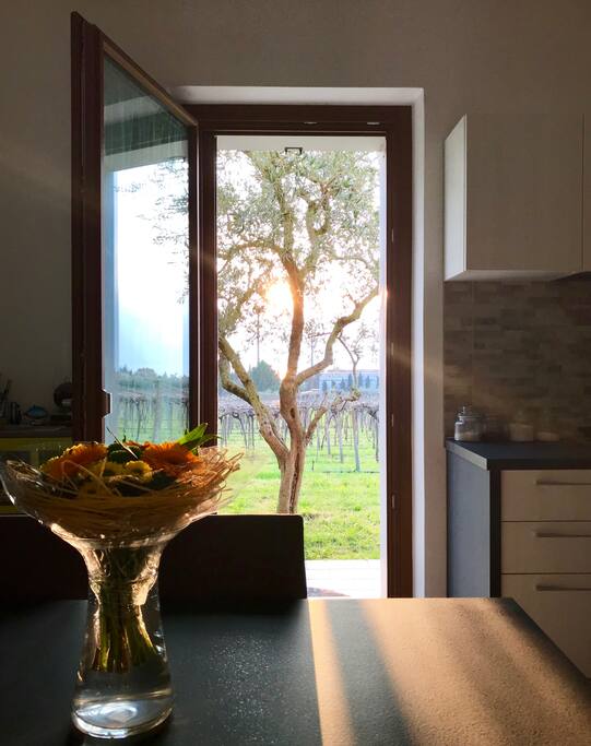 La vista su giardino e lago.