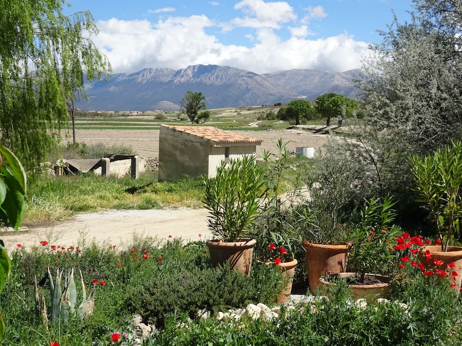 Mountain and garden view from the front of the Cortijo
