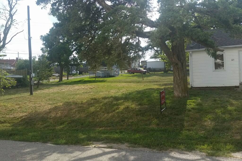 back yard
