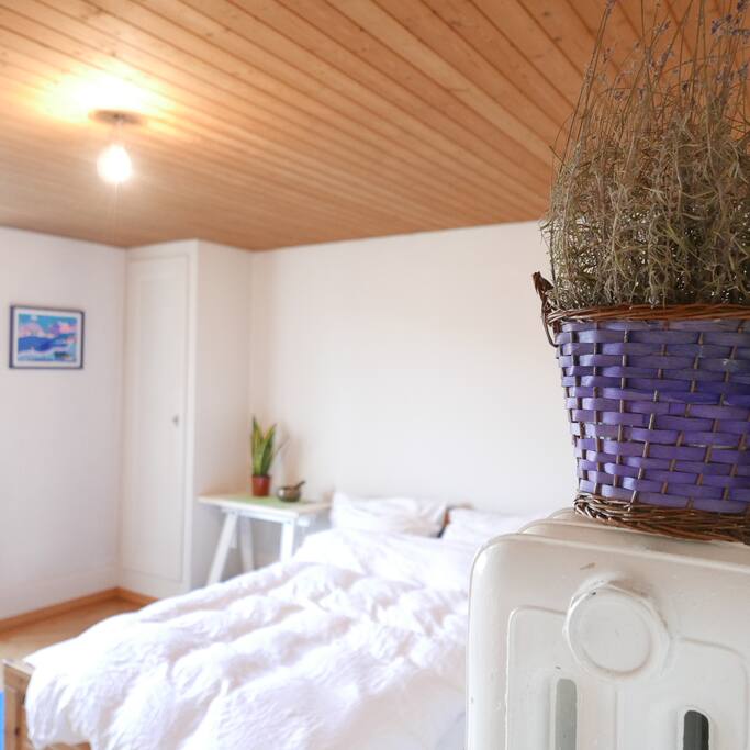 Lavender plant in Master bedroom