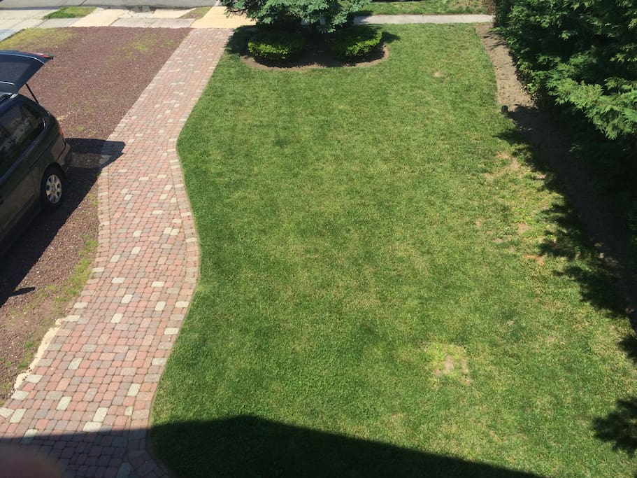 Lush front yard