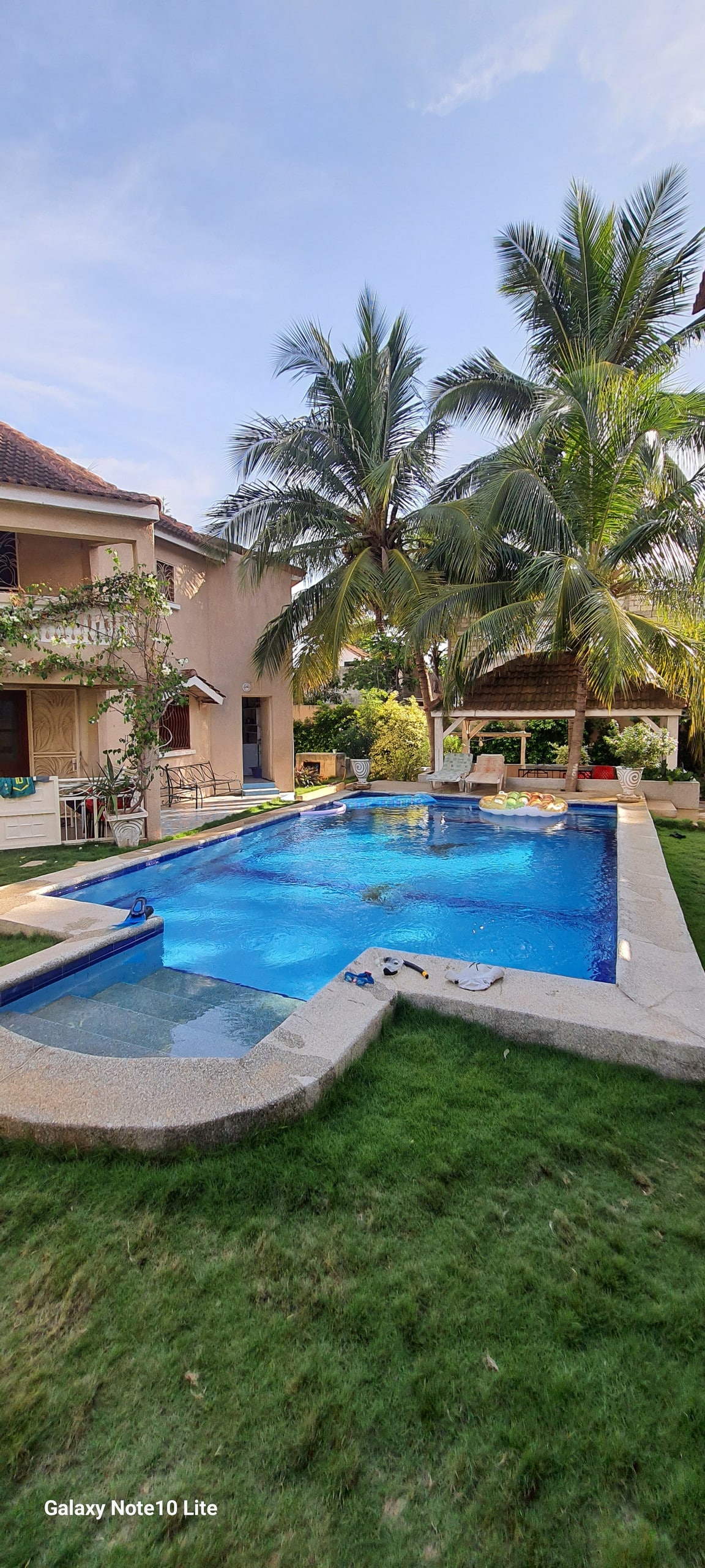 A refreshing swimming pool is surrounded by a spacious patio area, with lounge chairs placed nearby. Lush green grass and tropical palm trees enhance the outdoor space, while a covered seating area offers shade. The villa is positioned in the backdrop, contributing to a serene environment.