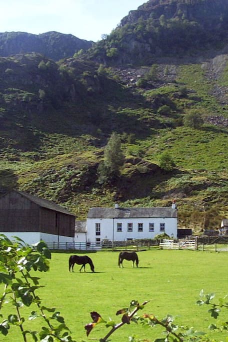 Hollows Farmhouse