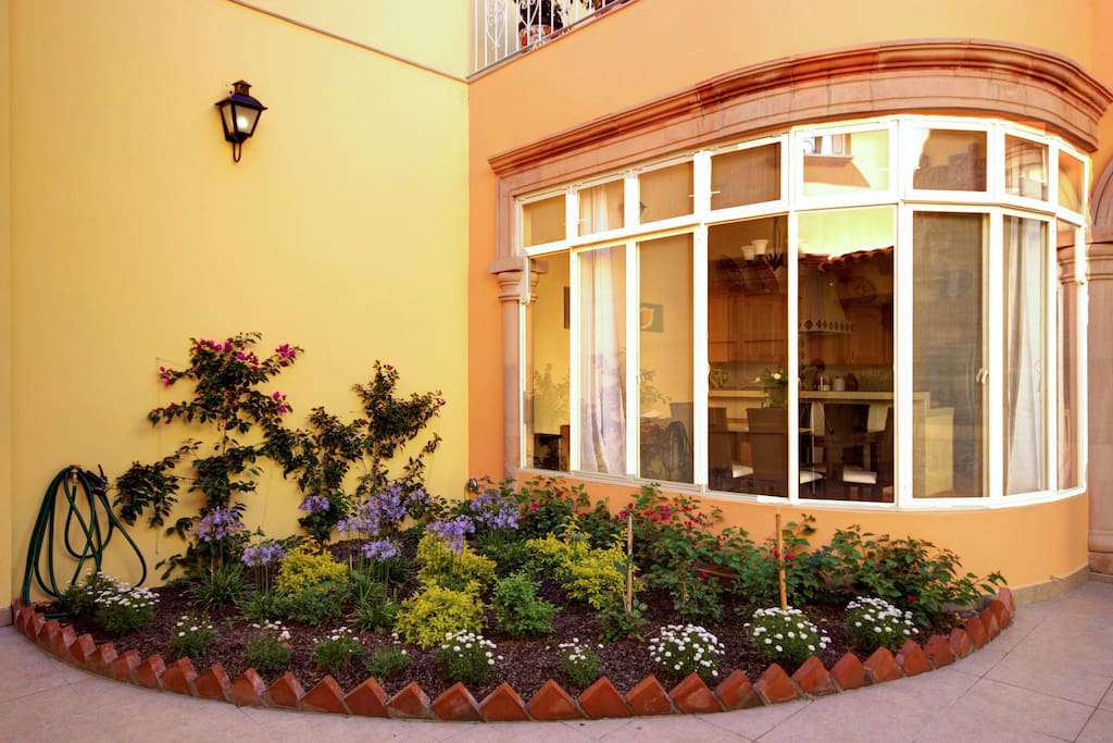 The garden area outside the dining room.