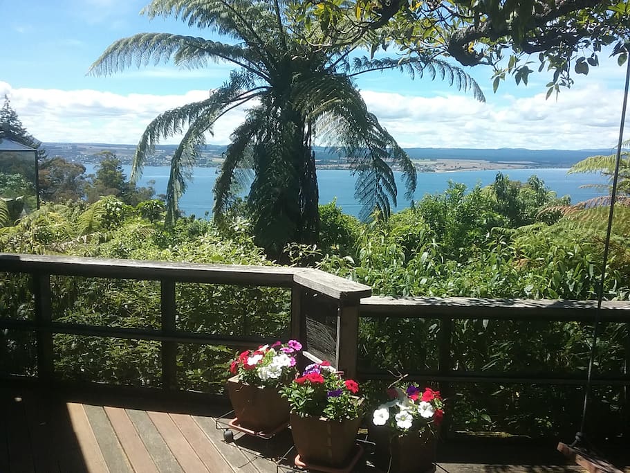 From the back deck