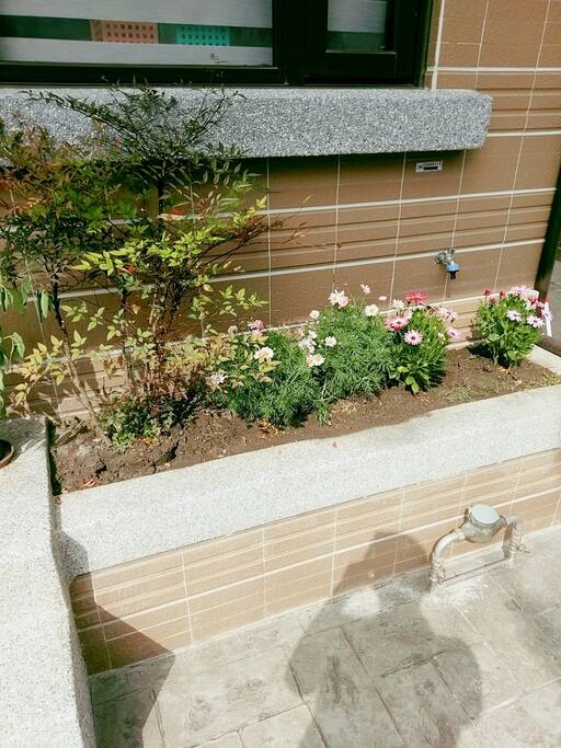 花圃