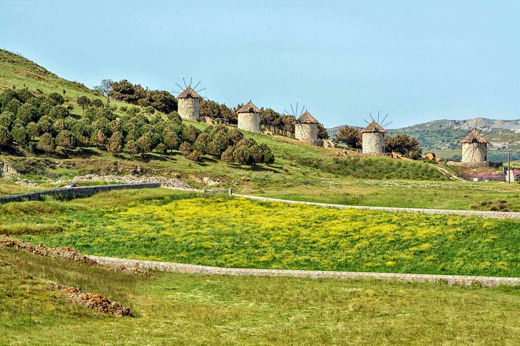 The Windmills.