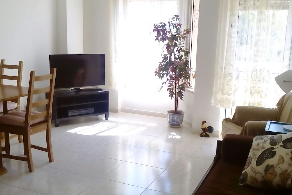 Living Room with Internet + TV and sofa bed