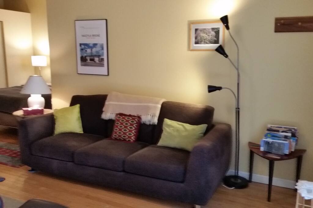 The sofa is long and comfortable.