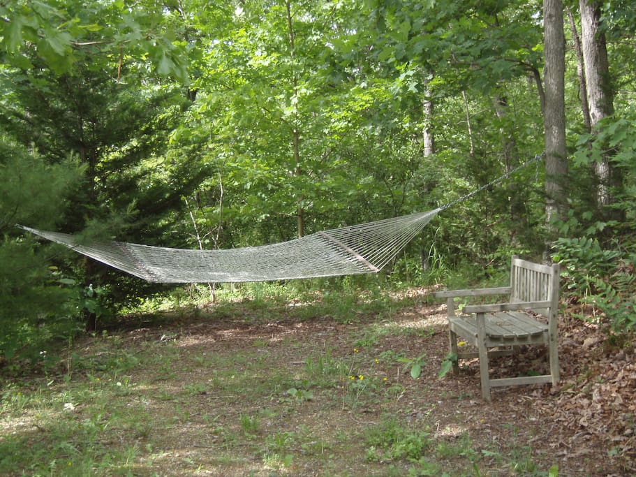 Relax in the Hammock