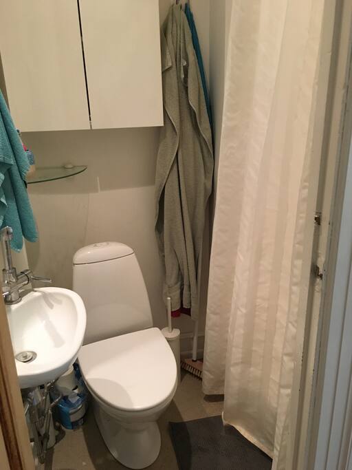 Small bathroom with shower