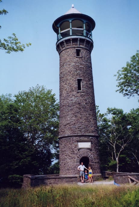 Stone tower in back yard