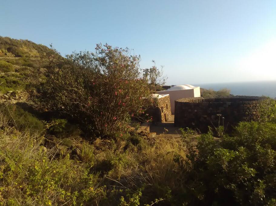 Esterno dammuso con giardino arabo