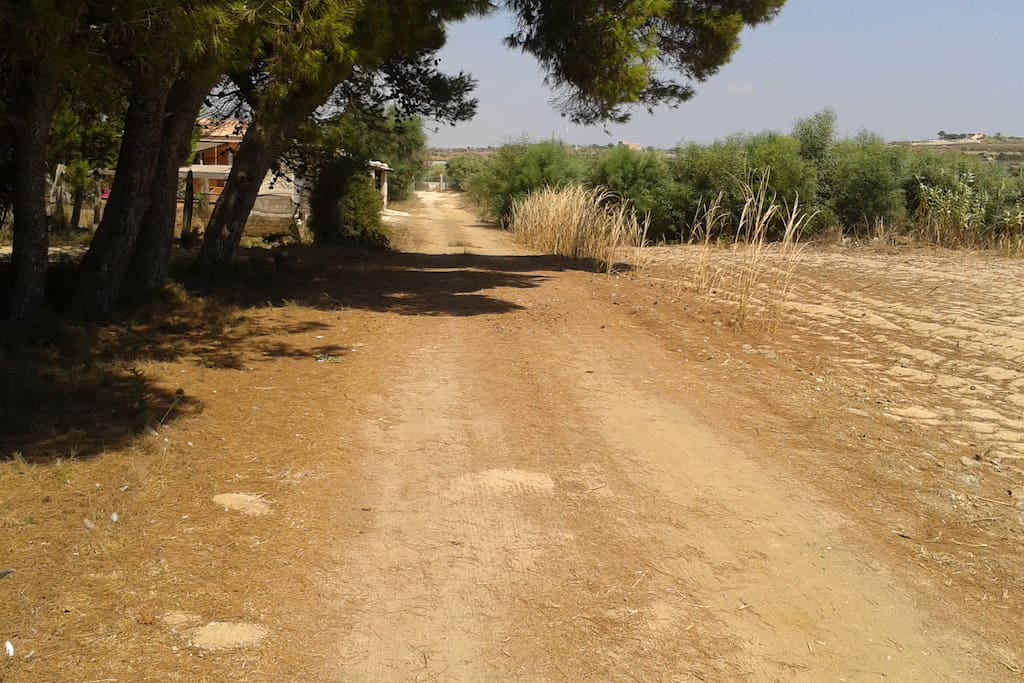 viale d'accesso al mare