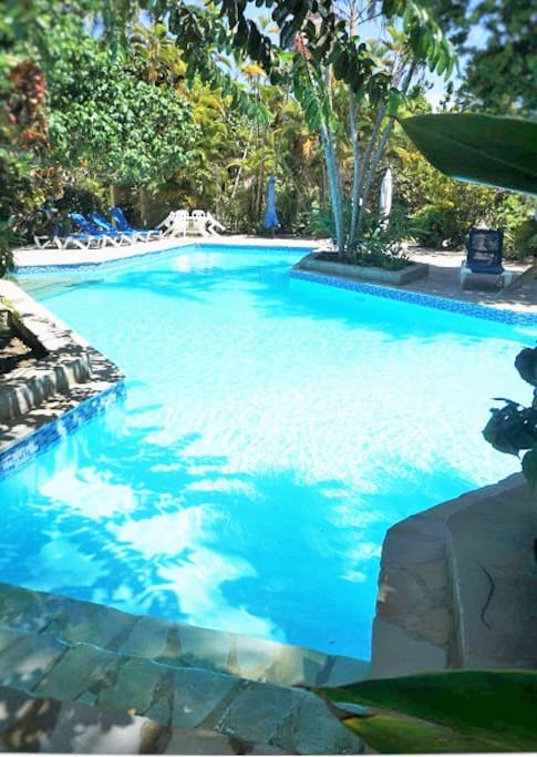 Large pool in the Caribbean garden