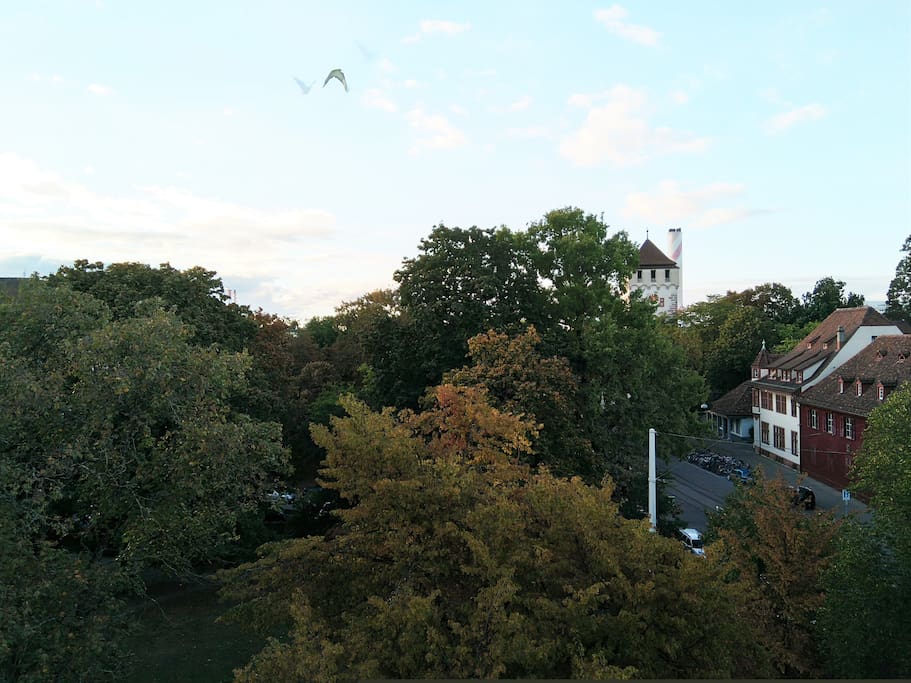 Beautiful view of St.Johans Tower directly from the window.