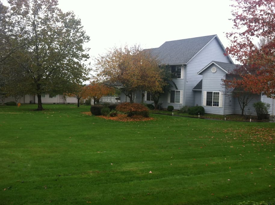 Front Yard