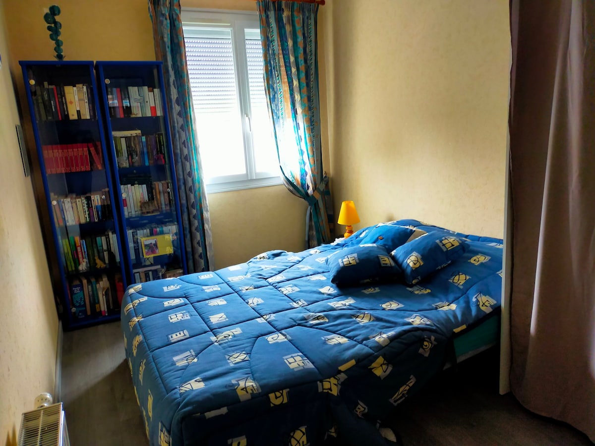 A cozy sleeping area features a spacious bed covered in blue bedding with decorative patterns. A bookshelf filled with various books is located against one wall. Natural light enters through a window, complemented by patterned curtains and a small bedside lamp.