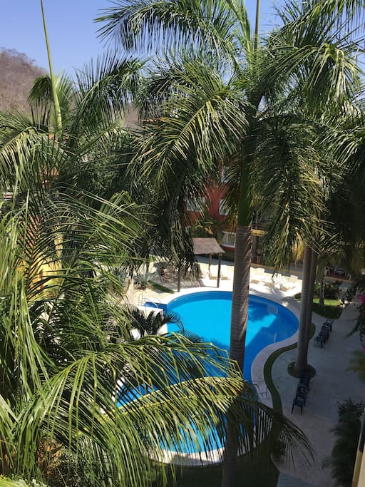 Tropical settings.