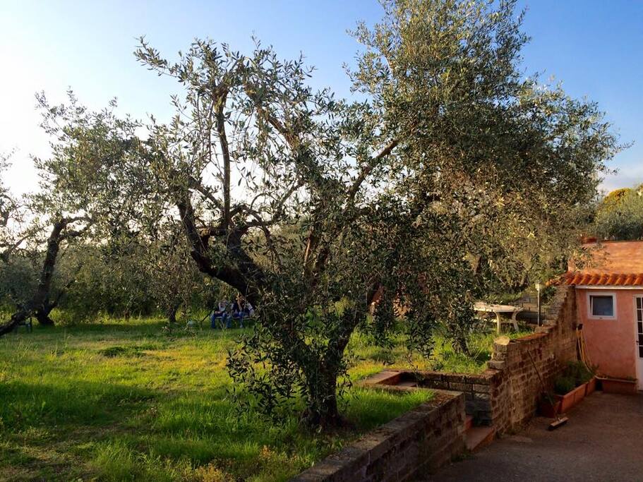 Giardino di giorno