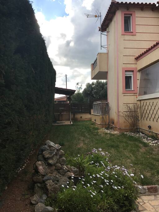 garden view