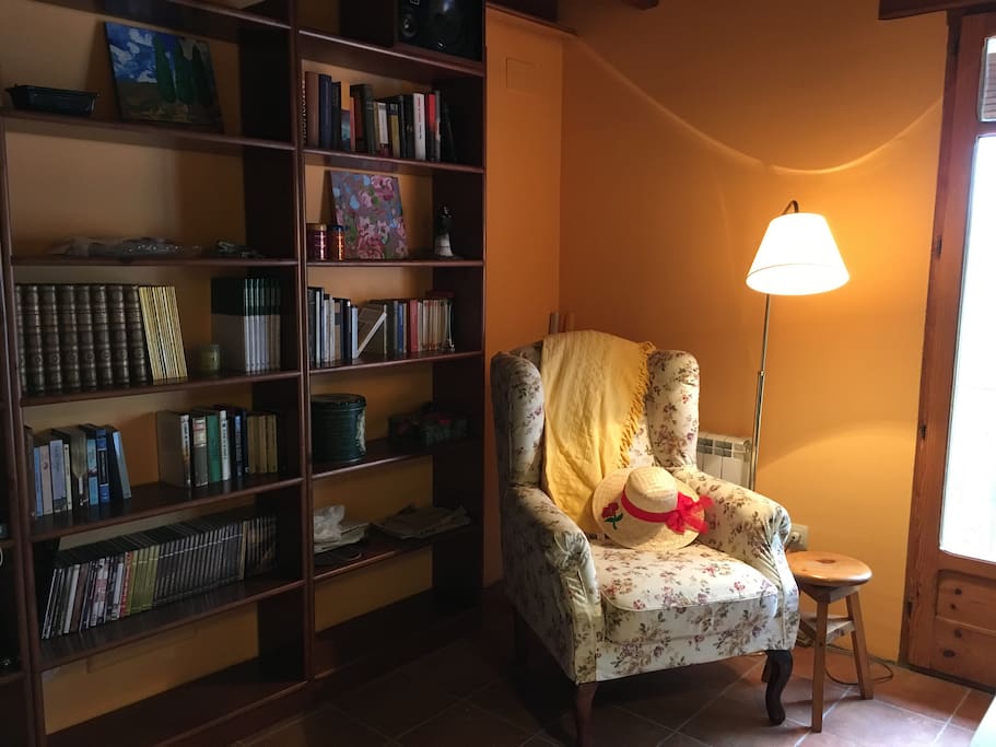 Rincon lectura