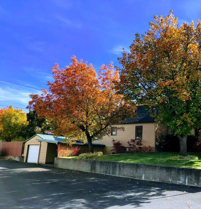 Beautiful Fall Day