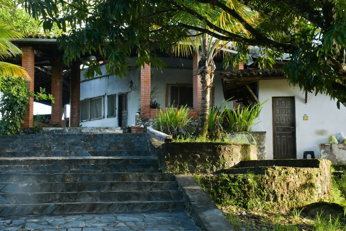 A stone staircase leads up to a multi-level house nestled among greenery. The structure features brick accents, large windows, and a wooden door. Surrounding foliage provides a natural and serene backdrop, enhancing the tranquil setting.