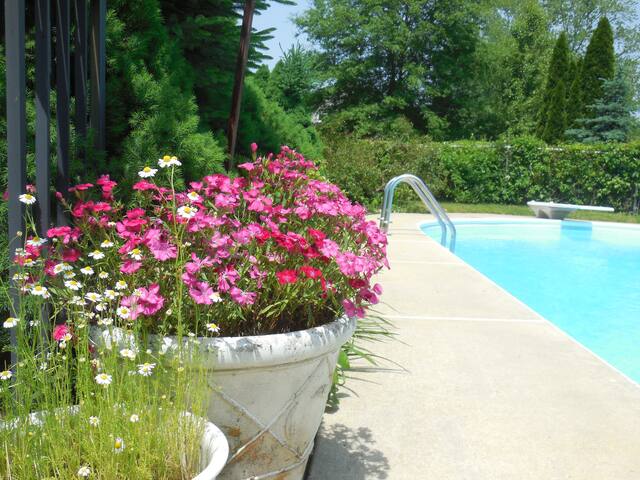 Stay 4 and save. Nice pool/yards, near Six Flags.